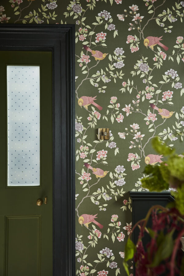 Aderyn - Olive Colour – Image 3