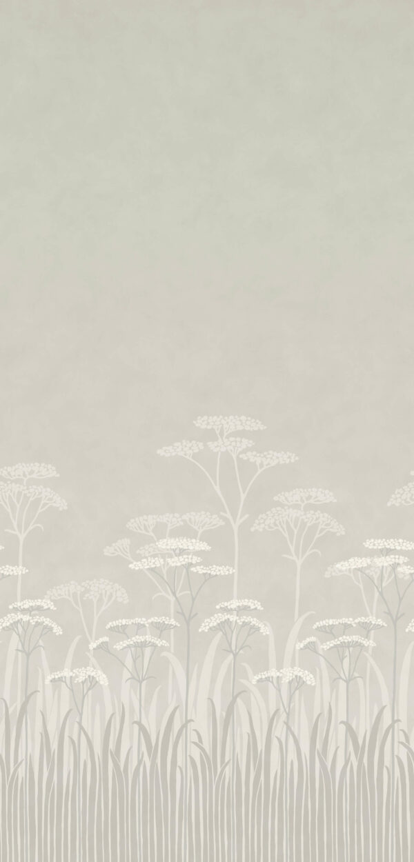 Achillea - Brume