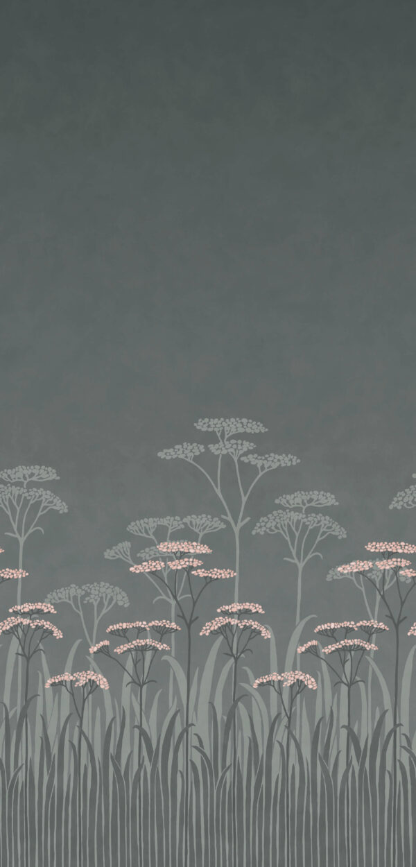 Achillea - Twilight