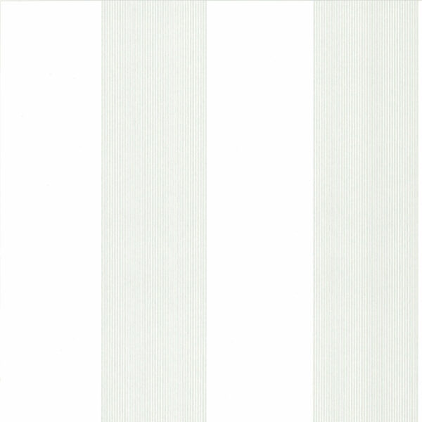 Elephant Stripe - Slip