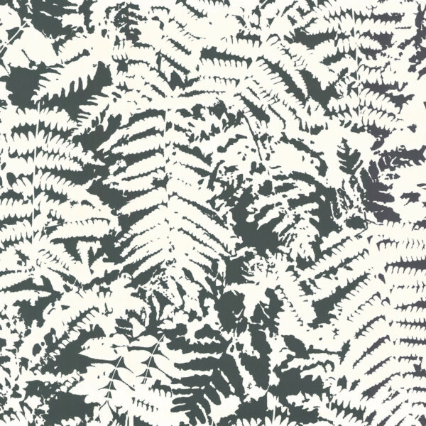 Fern - Off Black – Image 5