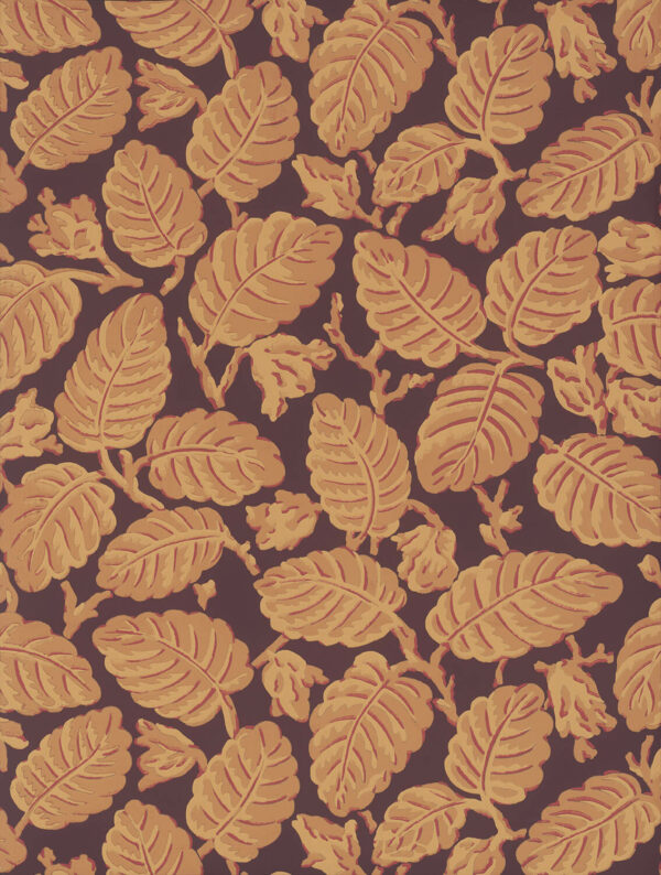 Beech Nut - Cordoba