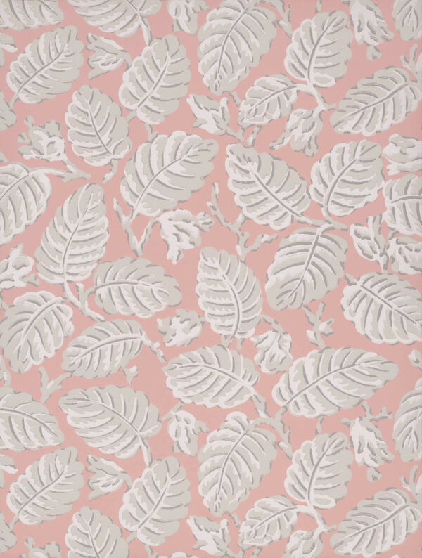 Beech Nut - Delicate