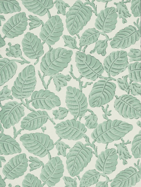 Beech Nut - Rubine