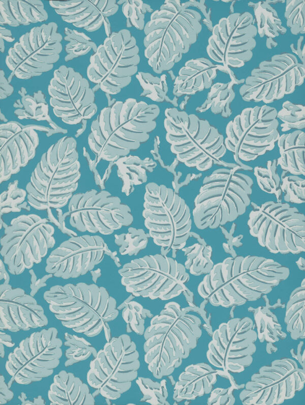 Beech Nut - Summer