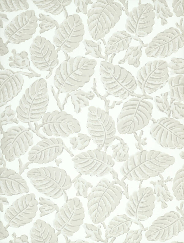 Beech Nut - Warm Grey