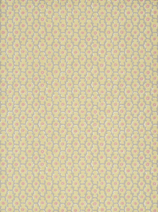 Moy - Lime