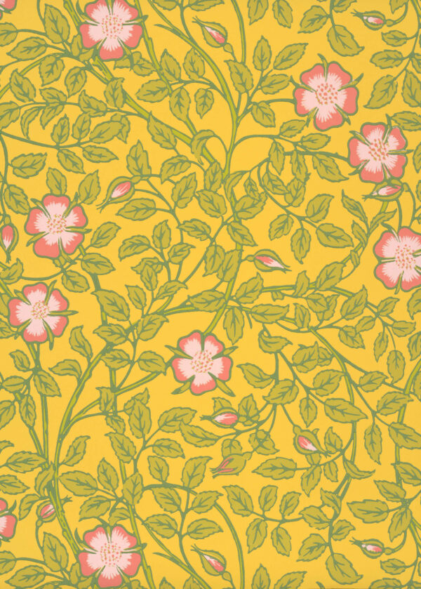 Briar Rose - Indian Yellow