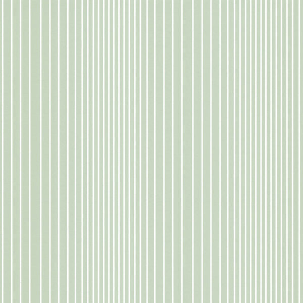Ombré Plain - Salix