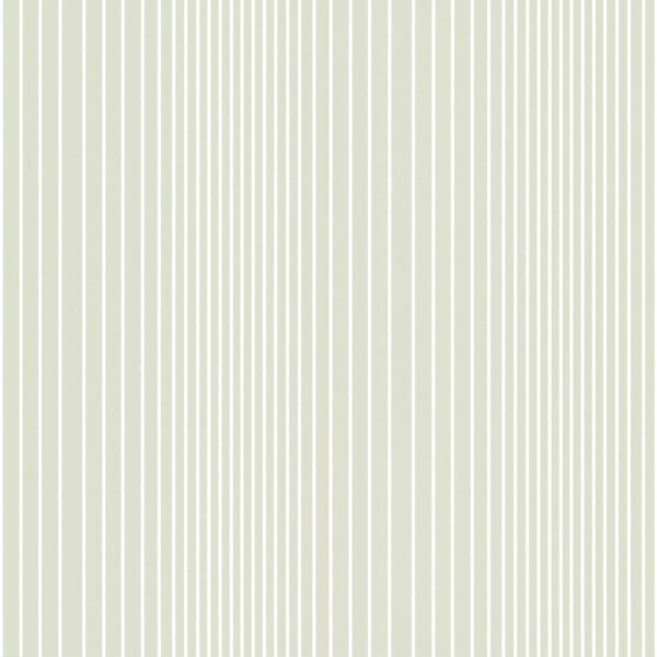 Ombré Plain - Seashell