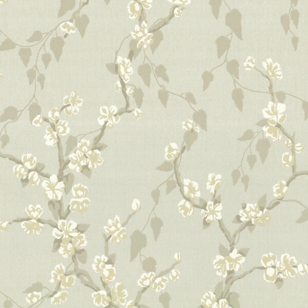 Sakura - Fawn