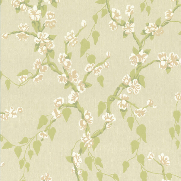 Sakura - Pomme